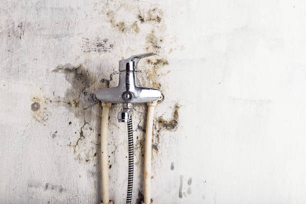 Best Water Damage Restoration  in Carolina Beach, NC