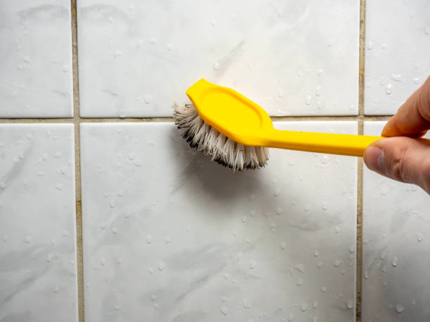 Best Commercial Mold Removal  in Carolina Beach, NC