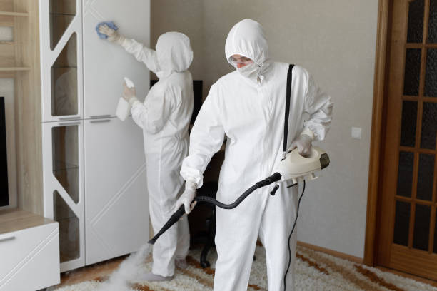 Best Mold Removal Process  in Carolina Beach, NC