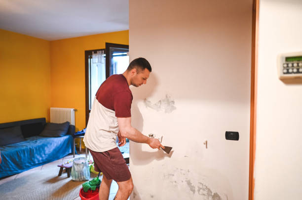 Best Fast Mold Removal  in Carolina Beach, NC